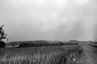 Bluebell Railway Museum