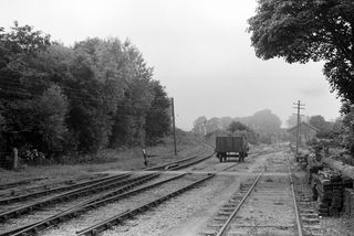 Collooney, Ireland on Wednesday 01 Jul 1953 - J.J. Smith [043426]