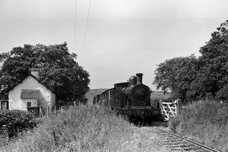 Bluebell Railway Museum