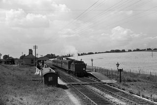 Bluebell Railway Museum