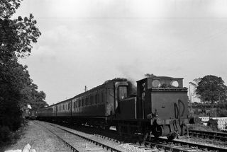 Bluebell Railway Museum