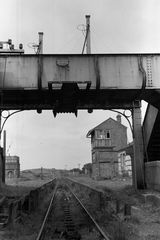 Ballynahinch Junction, Ireland on Sunday 23 May 1954 - J.J. Smith [043718]