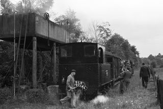 823 'The Countess' at Llanfair, Powys on Saturday 19 Jun 1954 - J.J. Smith [043819]