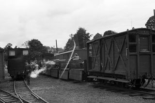 823 'The Countess' at Llanfair, Powys on Saturday 19 Jun 1954 - J.J. Smith [043828]