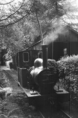 'Polar Bear' at Goudle Glen, Isle of Man on Tuesday 29 Jun 1954 - J.J. Smith [043877]
