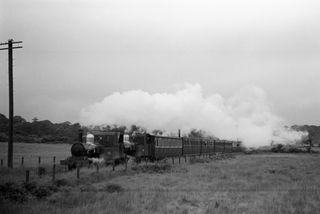 Bluebell Railway Museum
