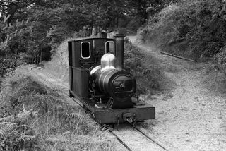 'Polar Bear' at Goudle Glen, Isle of Man on Friday 02 Jul 1954 - J.J. Smith [043893]