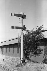 St Johns Station, Isle of Man on Saturday 03 Jul 1954 - J.J. Smith [043909]