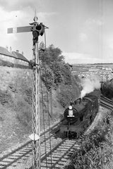 BR(S) D1 class 31505 at Kearsney Loop Junction, Kent with the "RCTS Invicta Special" Rail Tour on Sunday 12 Sep 1954 - J.J. Smith [044037]