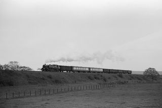 Bluebell Railway Museum