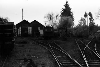 Bluebell Railway Museum