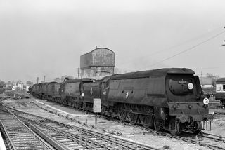 Bluebell Railway Museum