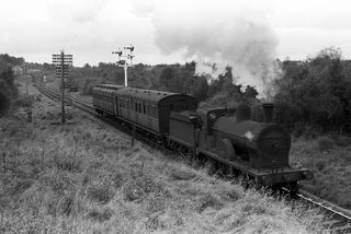 Bluebell Railway Museum