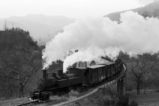 Bluebell Railway Museum