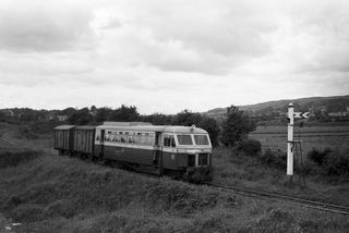 Bluebell Railway Museum