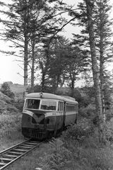 CDR Railcar 20 at Bruckless, Ireland with the 2.20pm Strabane - Killybegs service on Friday 11 Jul 1958 - J.J. Smith [044907]