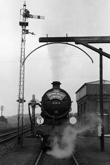 Bluebell Railway Museum