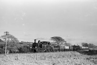 Bluebell Railway Museum