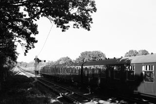 Bluebell Railway Museum