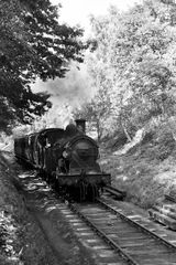 Bluebell Railway Museum