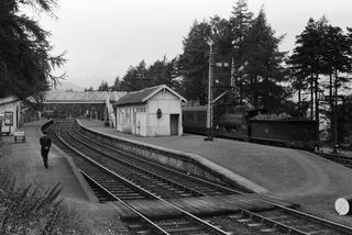 Bluebell Railway Museum