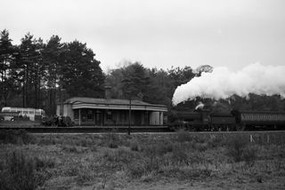 Bluebell Railway Museum