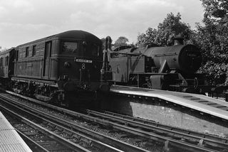 Bluebell Railway Museum