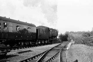 Bluebell Railway Museum