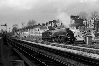 Bluebell Railway Museum