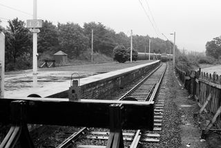 Bluebell Railway Museum