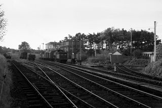 Bluebell Railway Museum