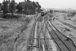 Bluebell Railway Museum
