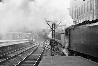 Bluebell Railway Museum