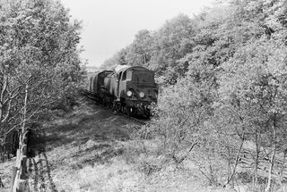 Bluebell Railway Museum