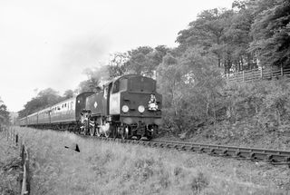 Bluebell Railway Museum
