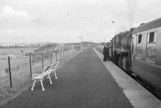 Bluebell Railway Museum