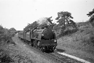 Bluebell Railway Museum