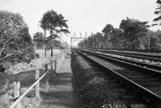 Pirbright, Surrey on Friday 01 Jul 1966 - J.J. Smith [047917]