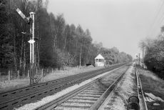 Waltham, Hampshire on Saturday 23 Jul 1966 - J.J. Smith [047949]