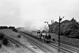 Bluebell Railway Museum