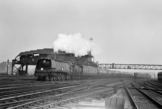 Bluebell Railway Museum