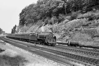 Bluebell Railway Museum