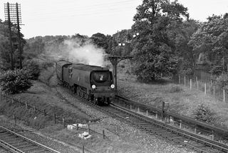 Bluebell Railway Museum