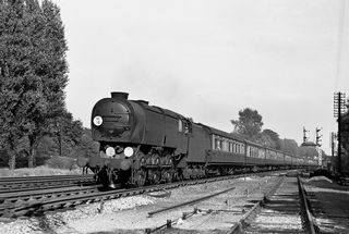 Bluebell Railway Museum