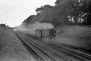 Bluebell Railway Museum