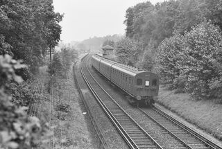 Bluebell Railway Museum
