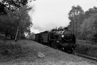 Bluebell Railway Museum