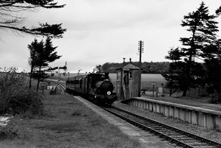 Bluebell Railway Museum