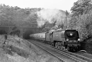 Bluebell Railway Museum