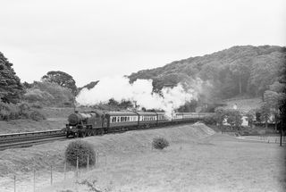 Bluebell Railway Museum